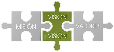 vision